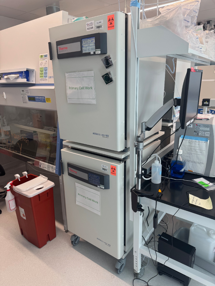 Image of Thermo HERAcell Vios 160i Double Stack CO2 Incubator
